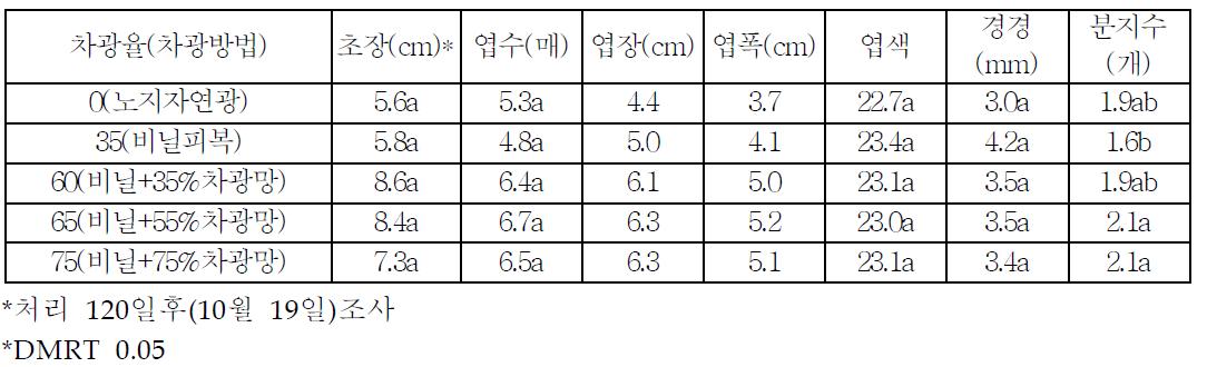 히어리 차광별 생육특성