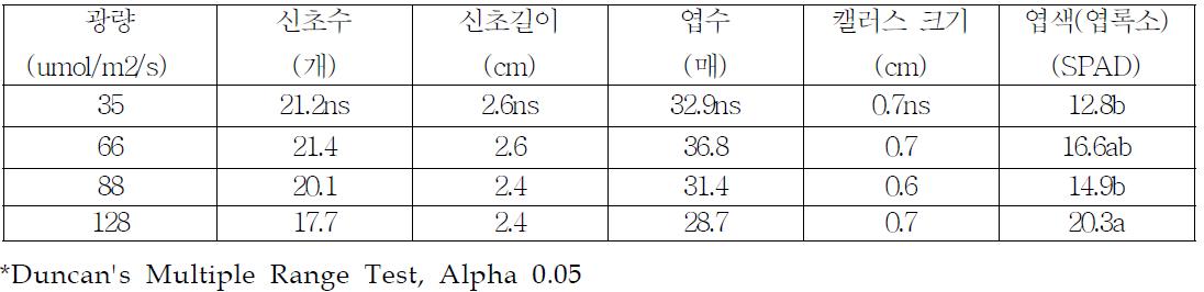 기내 광조건에 따른 히어리 기내생육 효과