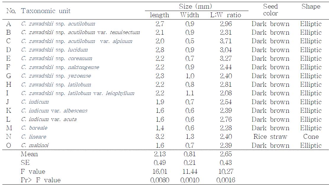 Seed measurement of the genus Chrysanthemum.
