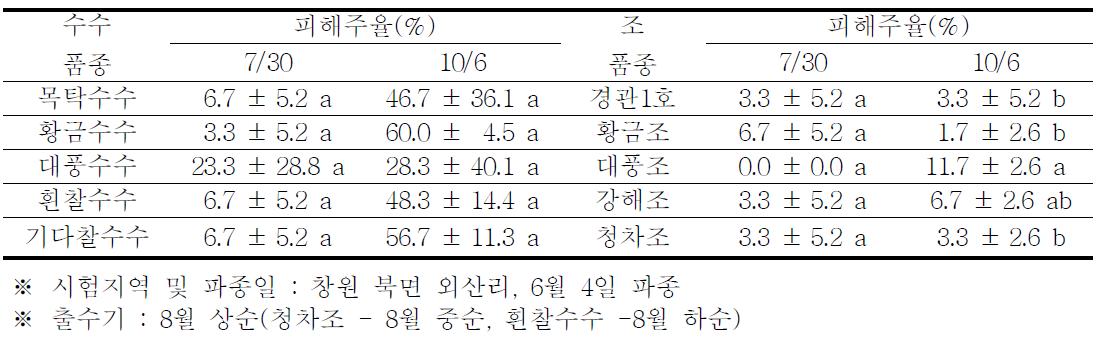 창원지역의 수수 및 조 품종별 조명나방 피해주율(2010)