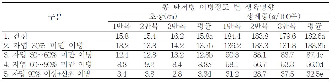 콩 탄저병 이병정도별 유묘생육 영향 구명