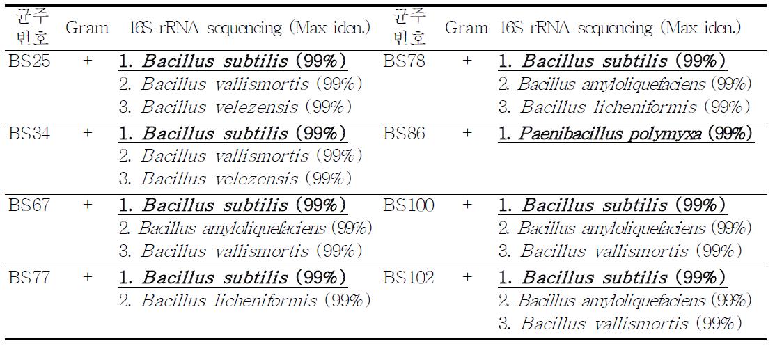 길항미생물 분리균주 분류동정
