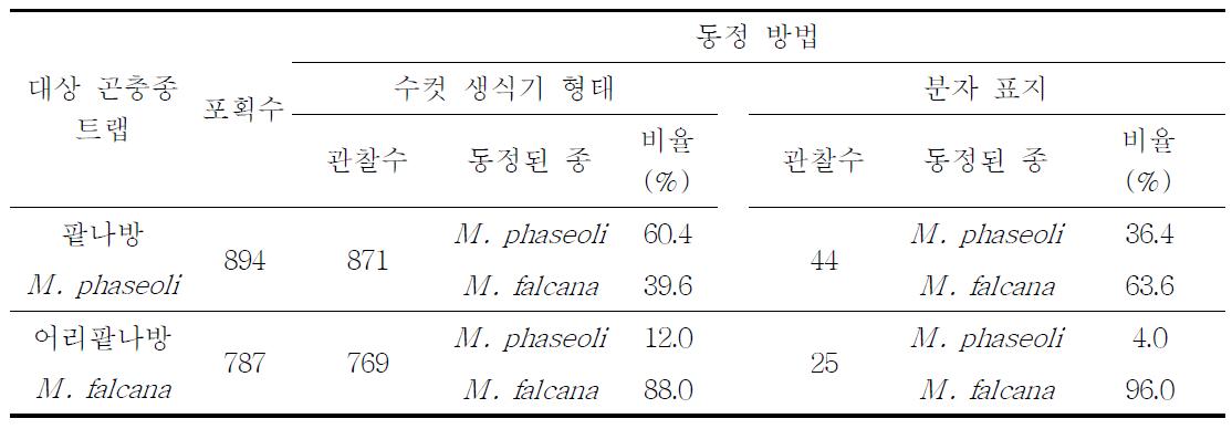 팥나방(M . phaseoli)과 어리팥나방(M . falcana) 성페로몬트랩에 포획된 수컷 성충들에서 생식기 형태와 분자표지 검정을 통한 종 동정