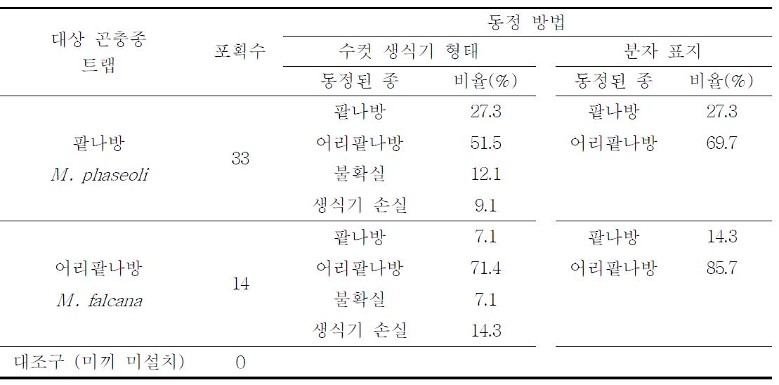 팥나방(M. phaseoli)과 어리팥나방(M. falcana) 처녀 암컷트랩에 포획된 수컷 성충들에서 생식기 형태와 분자표지 검정을 통한 종 동정