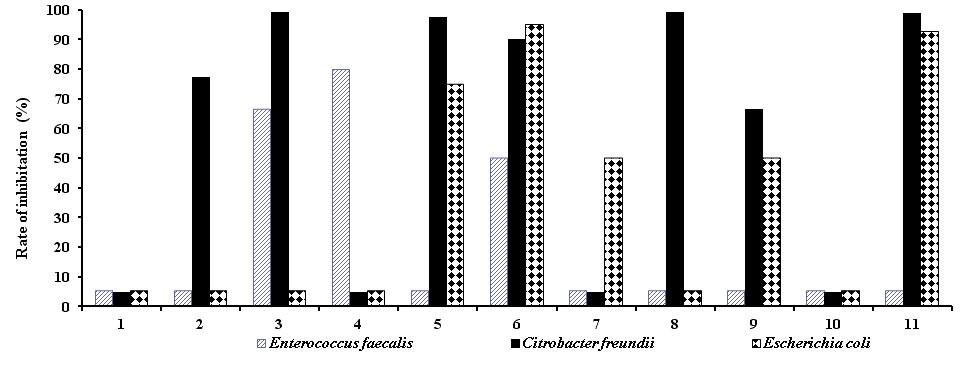 Antimicrobial activities of some herbal extracts on Enterococcus faecalis, Citrobacter freundii and Escherichia coli in 103mg.L-1 concentration. The numbers are in the same order as in Fig. 1.