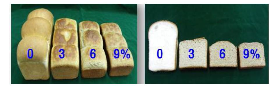 External and internal appearance of bread containing various concentrations of Agrocybe aegerita powder