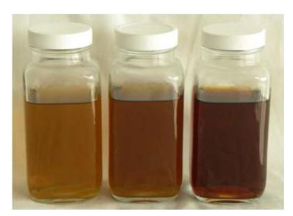 Status of vinegar using fresh mushroom and different sugar type