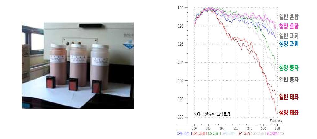 UV 분광법 시험결과