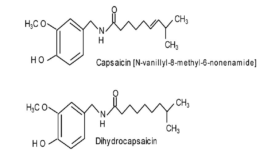 Capsaicin 및 Dihydrocapsaicin의 화학분자구조