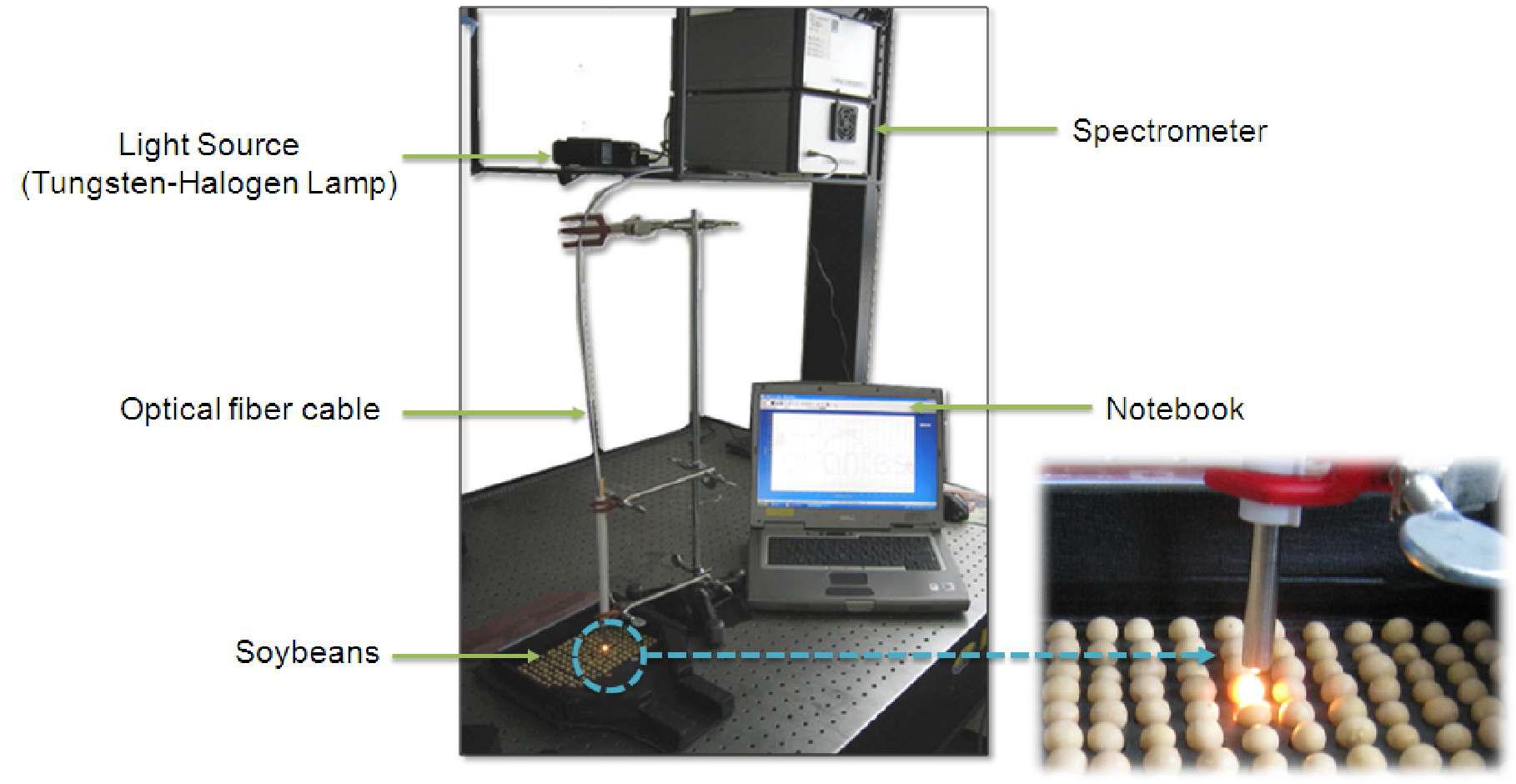 광센서를 이용한 콩 분광장치 예비 시스템