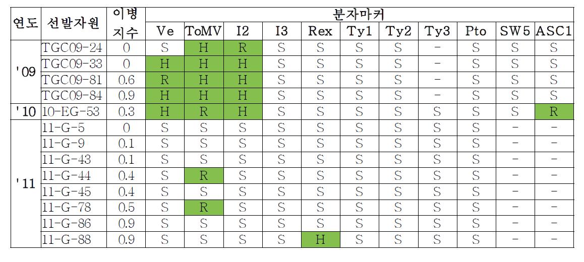 선발한 풋마름병 저항성 자원의 MAS 검정(’09∼’11)