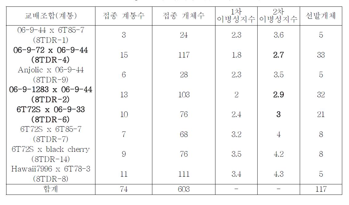 ‘06-9-44 x 6T85-7’ 등 F2 8 교배조합의 풋마름병 접종 결과