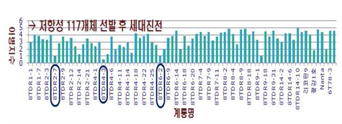 토마토 F2 74계통의 풋마름병 접종 결과. 선발계통(원안)