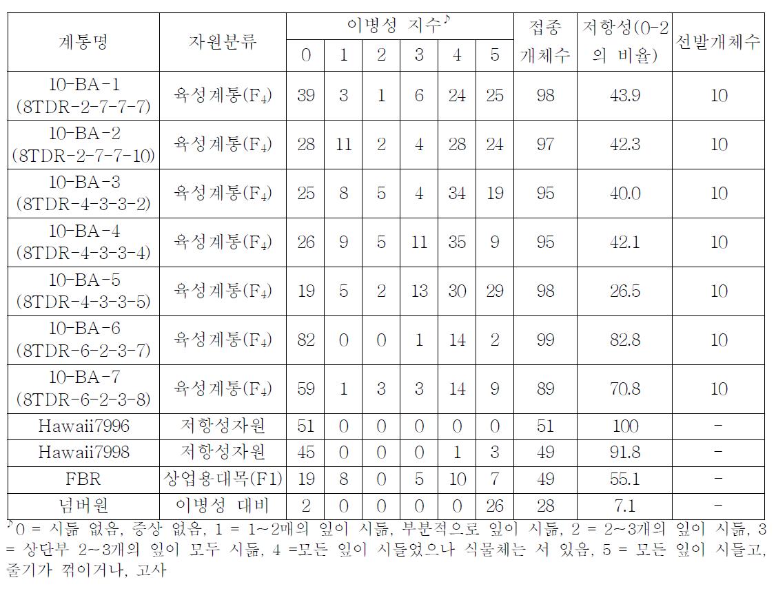 토마토 풋마름병 저항성 F4 7계통의 인공접종 및 선발