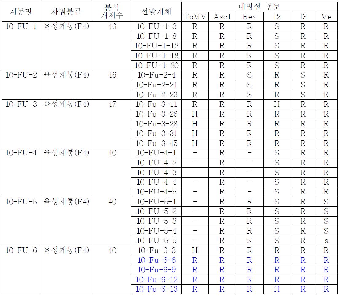 분자마커를 이용한 시듦병 저항성 계통 선발 및 세대진전