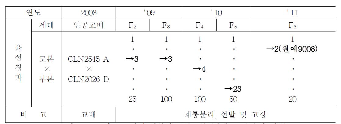 토마토 토양병 저항성 중간모본 ‘원예9008“ 육성 계통도