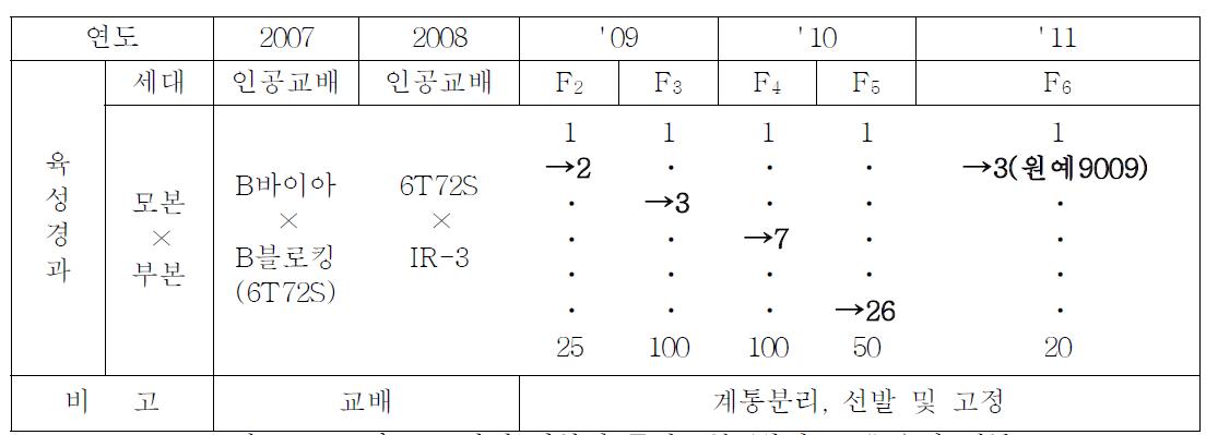 토마토 토양병 저항성 중간모본 ‘원예9009“ 육성 계통도