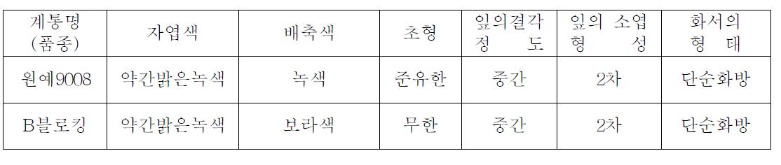 중간모본 ‘원예9008’의 생육특성(고유특성)