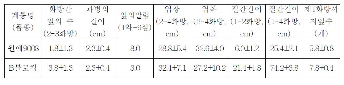 중간모본 ‘원예9008’의 생육특성(가변특성)