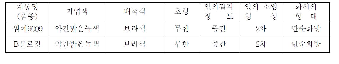 중간모본 ‘원예9009’의 생육특성(고유특성)