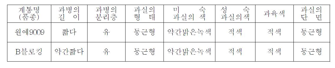 중간모본 ‘원예9009’의 과특성(고유특성)