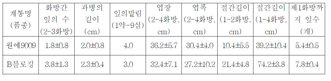 중간모본 ‘원예9009’의 생육특성(가변특성)