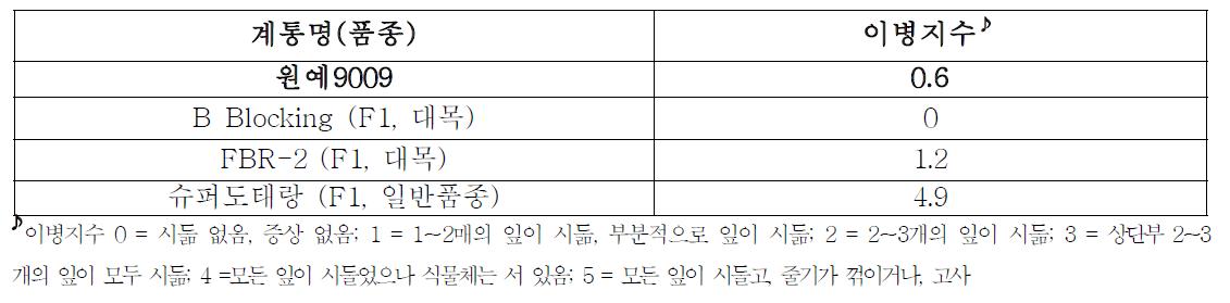 중간모본 ‘원예9009’의 풋마름병 저항성 수준