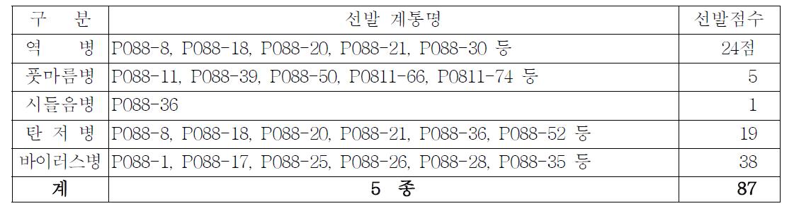 중국 측에서 수행한 고추 병저항성 검정결과 선발 계통수