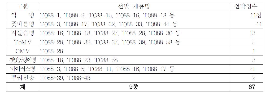 중국측에서 수행한 토마토 병저항성 검정결과 선발 계통수