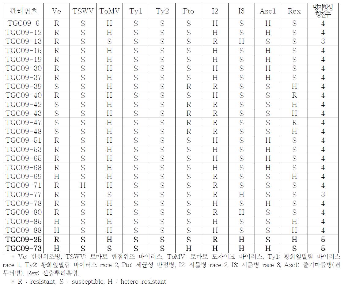 2차년도(2009년) 선발 토마토 유전자원의 내병성 MAS 검정 결과
