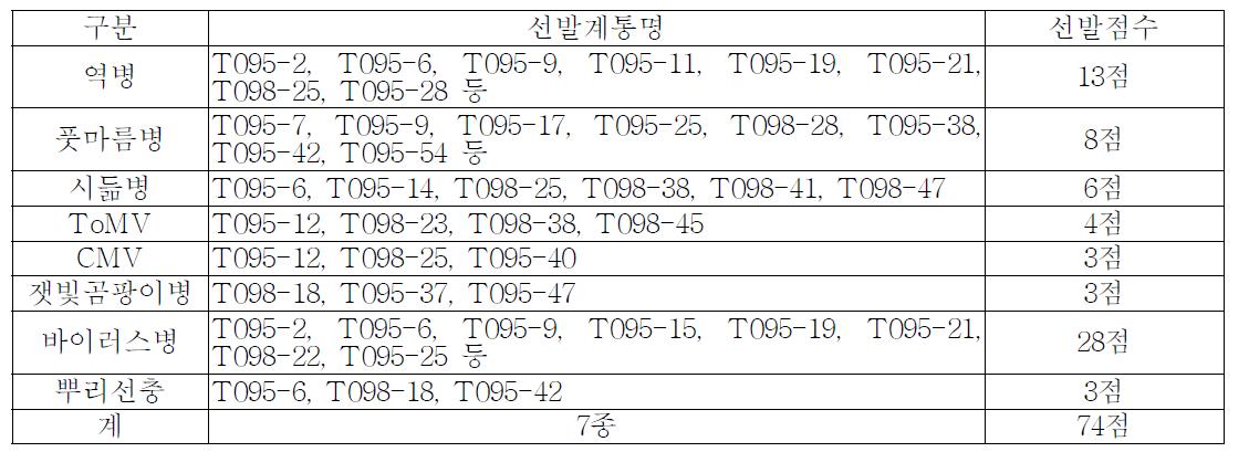 중국측에서 수행한 토마토 병저항성 검정결과 선발 계통수