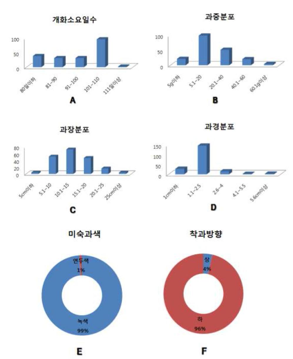 선발된 저항성 고추 자원들의 원예적 특성 평가 결과