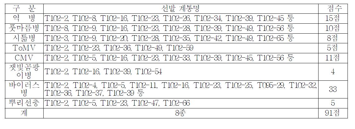 토마토 병저항성 검정결과 선발 계통수