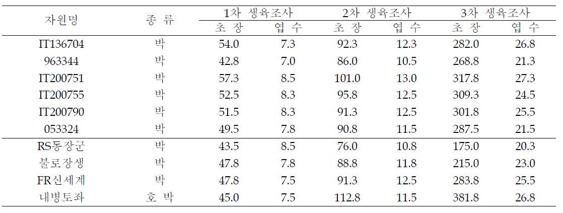 선발된 급성 시듦증에 강한 박 유전자원과 대비품종에 수박을 접목한 후 생육조사