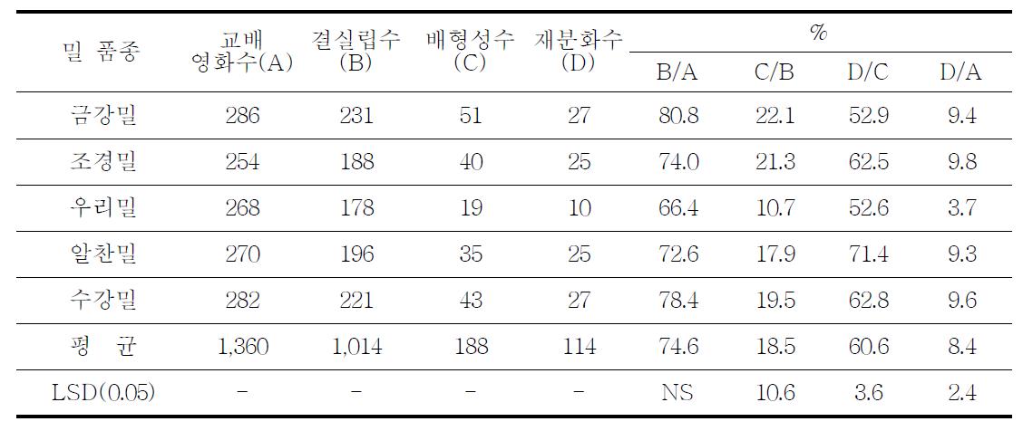 밀 품종 × 옥수수(강다옥)와의 인공교배 후 밀 품종별 배 형성률 비교