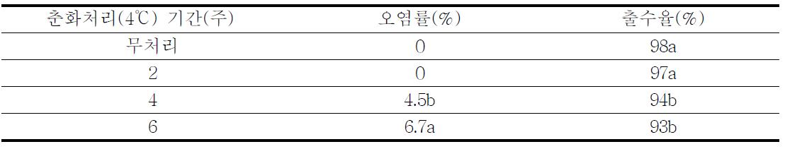 재분화 식물체 춘화처리가 출수에 미치는 영향