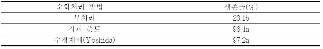 순화처리 방법이 재분화 식물체 생존에 미치는 영향