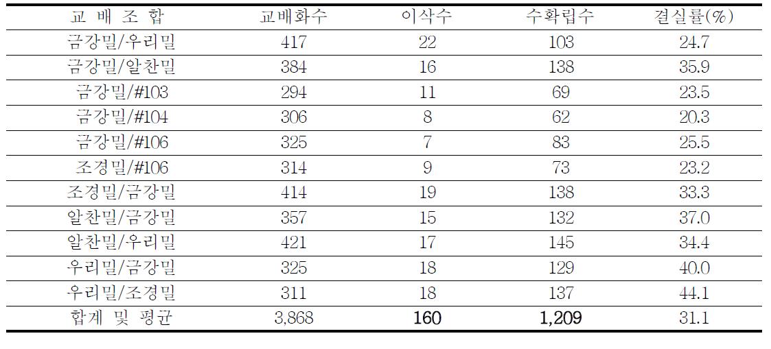 밀 인공교배 조합