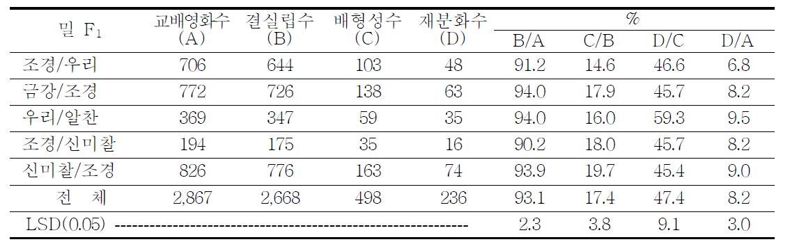 밀(F1) × 옥수수의 인공교배 후 배형성률 비교