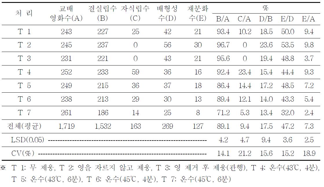 제웅 방법이 밀 F1(금강/조경) × 옥수수 원연교잡 후 배 형성에 미치는 영향