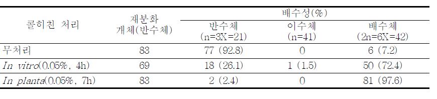 재분화 식물체 콜히친 처리 후 염색체 수 변화