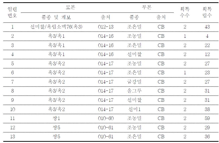 인공교배 내역