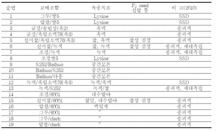 1년차 F1 선발내역