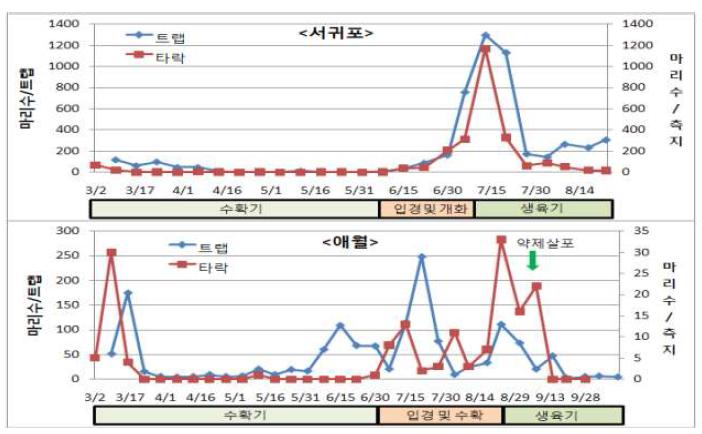 시기별 파총채벌레 발생양상(’10)