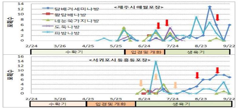 성페로몬트랩을 이용한 아스파라거스 발생 나방류 해충 시기별 포획량(’09)