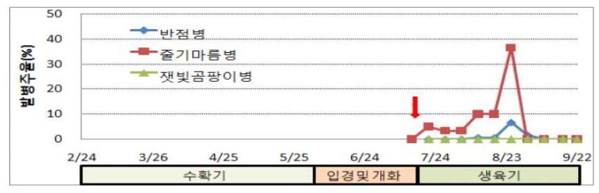 아스파라거스 병 발생 양상(제주시 애월, ’09)