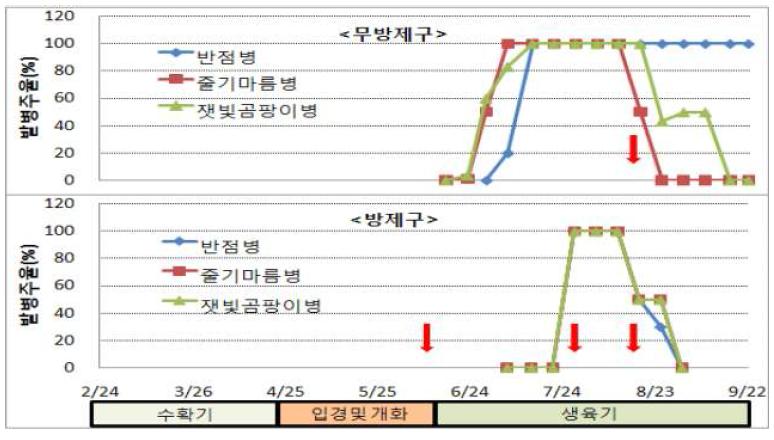 아스파라거스 병 발생양상(서귀포시 동흥동, ’09)