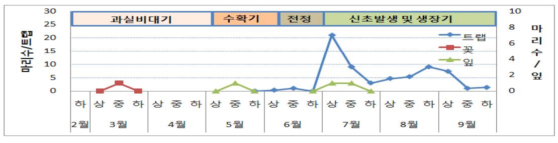 서귀포시 서상효 농가(조기가온)에서 총채벌레 발새양상(’09)