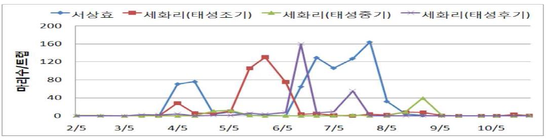 망고의 총채벌레 발생 양상(’10)