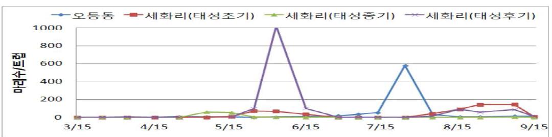 망고의 총채벌레 발생 양상(’11)